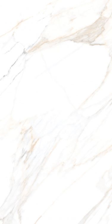 Aurum Calacatta Polished 24 x 48